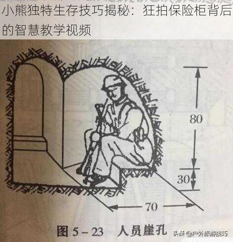 小熊独特生存技巧揭秘：狂拍保险柜背后的智慧教学视频